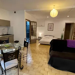 studio-avec-patio.hotels-rhonealpes.com/